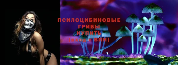 сатива Балахна