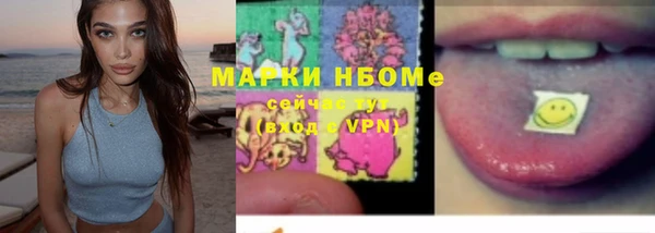 сатива Балахна