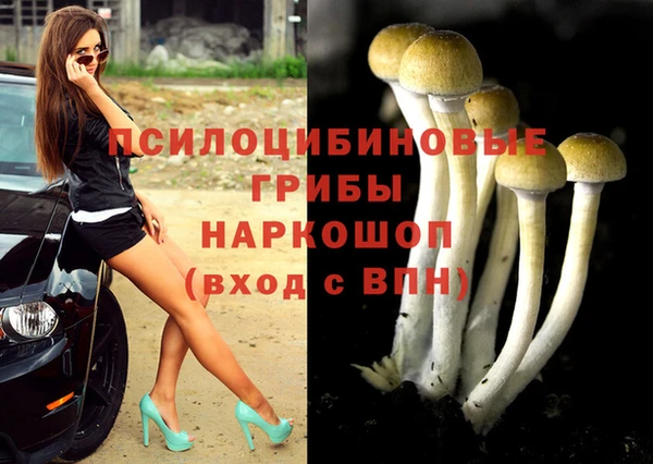 сатива Балахна