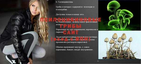 а пвп мука Баксан