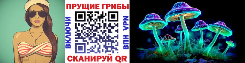 Купить закладки Георгиевск Галлюциногенные грибы прущие грибы