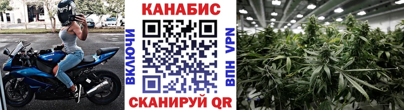 Шишки марихуана сатива Георгиевск