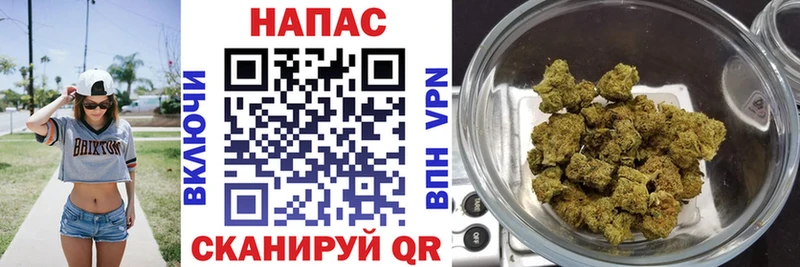 Марихуана семена  Купить закладки  Георгиевск 